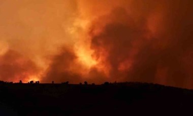 Diyarbakır'da bir orman yangını daha