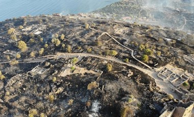 Assos Ören Yeri ve Athena Tapınağı’nı da etkileyen yangında 31 hektar alan zarar gördü