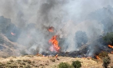 Bingöl’de iki ilçede orman yangını!