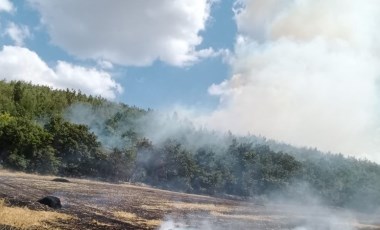 Edirne'de orman yangını!