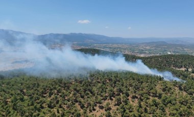 Balıkesir’de orman yangını! Ekipler müdahale ediyor (29 Haziran 2024)