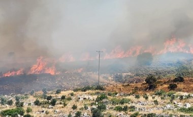 Çeşme'de ormanlık alanda yangın!