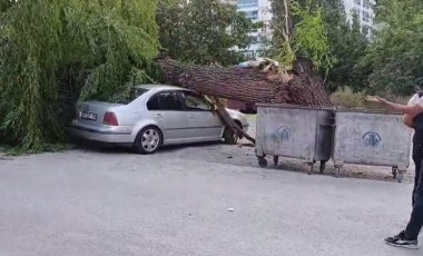 Ankara'da kuvvetli rüzgar: Ağaç devrildi, 4 araç hasar gördü