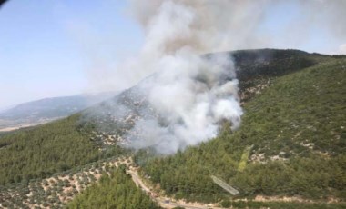 Muğla'daki orman yangınının nedeni belli oldu