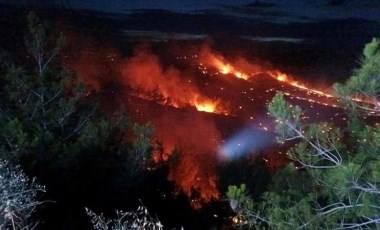 Adana’da anız yangını ormana sıçradı! 2 saat sonra kontrol altına alındı