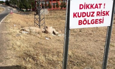 Şanlıurfa'da Valiliği duyurdu: 2 mahalle 'kuduz' nedeniyle karantinaya alındı