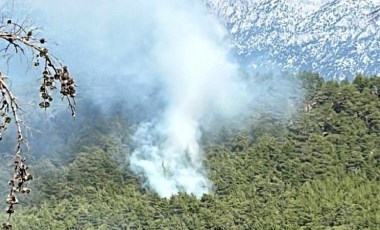 Son Dakika... Antalya'da orman yangını!