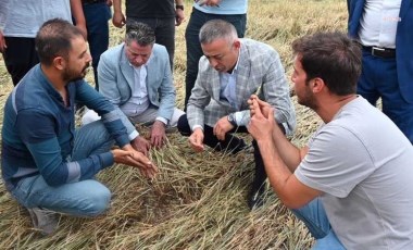 Çiftçilerden zarar gören tarım alanları için 'afet bölgesi' talebi