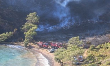 Başkan Ünlü: Ormanlara gözümüz gibi bakmalıyız