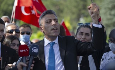 Yenilik Partisi, sokak hayvanları yasasının geri çekilmesini istedi