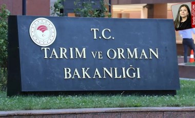 Önce orman alanına maden ocağı açmak için izni aldılar, şimdi kapasiteyi artıracaklar