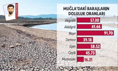 Doğal Kaynaklar ve çevre, santrallar için kurban ediliyor