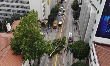 Ağaç dalı yaya ve araç trafiğinin ortasına düştü, facia kıl payı atlatıldı