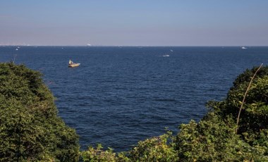 Japonya'da simitle yüzmeye giden kadın, kıyıdan 80 km açıkta kurtarıldı