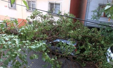 Kağıthane'de otomobilin üzerine ağaç devrildi