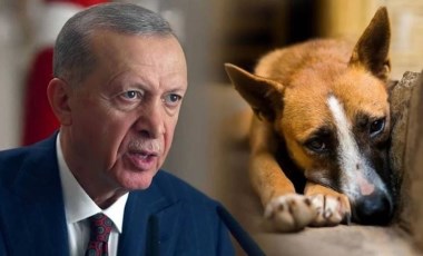 Erdoğan yine mi 'kandırılıyor'?