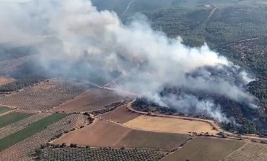 Manisa'da orman yangını (12 Temmuz 2024)