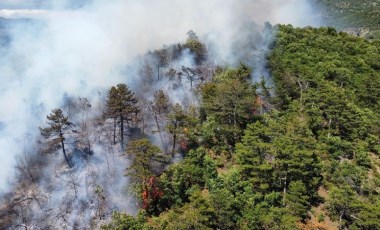 Balıkesir’de orman yangını