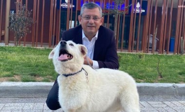 Özgür Özel'den 'ötenazi' teklifine tepki: 'Yalnızca insani bir yaklaşımla çözülebilir'