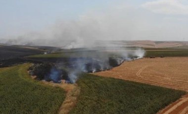 Çorlu'da feci yangın: 2 bin dönüm tarım alanı küle döndü