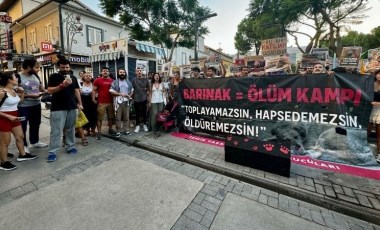 İzmir'de hayvanseverlerden oturma eylemi