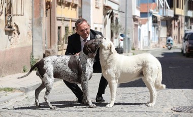 Ayvalık Belediye Başkanı Ergin'den katliam yasasına tepki: 'Sokaktakilerin de yaşama hakkı kutsal ve dokunulmazdır!'