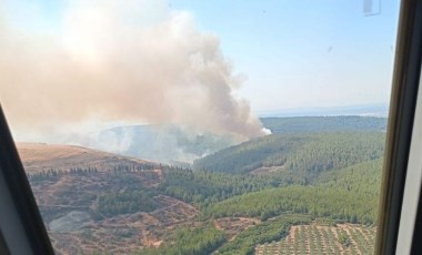 İzmir'de bir orman yangını daha