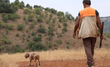 Şehir şehir gezerek ‘kara elmas' arıyor: Köpeği buluyor, kendisi satıyor! Dünyanın en pahalısı...