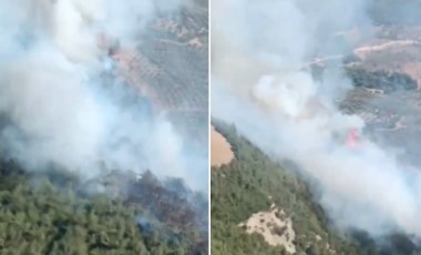 Hatay'da orman yangını!