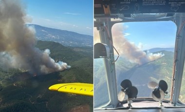 Bergama'da ormanlık alanda yangın!