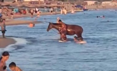 Edirne'de bir kişi serinlemek için 'atıyla' birlikte denize girdi