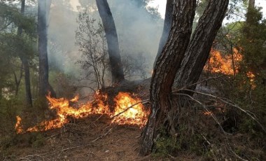 Muğla'da yıldırım düşmesiyle 11 noktada orman yangını çıktı