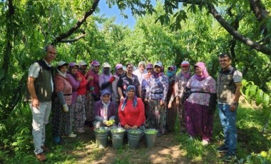 Kazdağları'nın endemik meyvesinde hasat başladı: 20 bin ton üretim bekleniyor