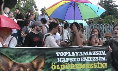 Hayvan hakları savunucularına Meclis önünde polis müdahalesi