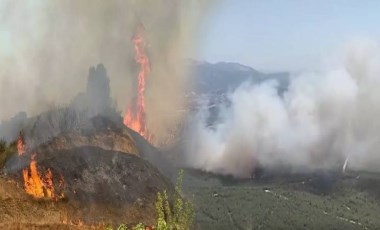 3 ilde orman yangını: Havadan ve karadan müdahale ediliyor