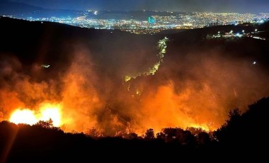 Bornova'daki orman yangınının nedeni belli oldu