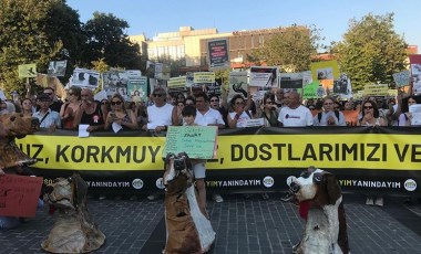 Yurttaşlar hayvan katliamı yasasına karşı toplandı: 'Yasa değil cinayet'