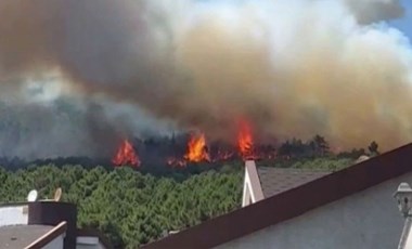 Aydos Ormanı'nda çıkan yangın söndürüldü