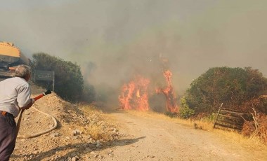 Çanakkale'deki yangında acı bilanço: 2 hektar orman, 8 hektar tarım arazisi zarar gördü