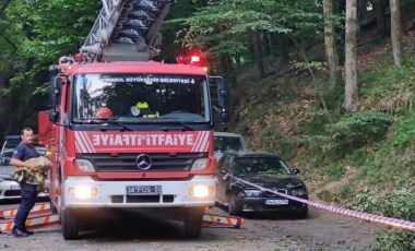 Belgrad Ormanı'nda park halindeki 2 otomobilin üzerine ağaç devrildi