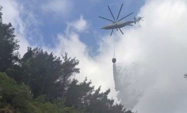 Hatay'da orman yangını