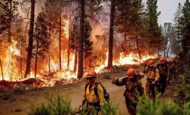 4 bin kişi evlerinden tahliye edildi: California'nın en büyük orman yangını yayılmaya devam ediyor