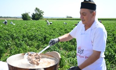 Karaağaç'ta hasat geç başladı: Edirne tava ciğerinin lezzet ortağı...