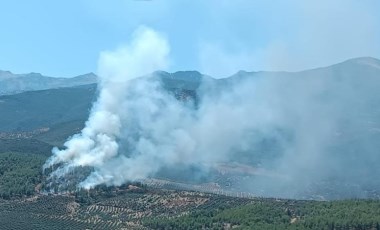 Hatay’da orman yangını!