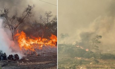 Antalya'da orman yangını sürüyor: Neden çıktığı belli oldu!