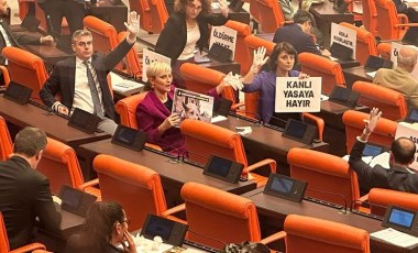 Sokak köpeklerine ilişkin yasa teklifi TBMM Genel Kurulu’na geldi, muhalefet direniyor