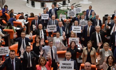 CHP'den sokak hayvanları yasa tasarısına protesto: 'Kanlı yasaya hayır'