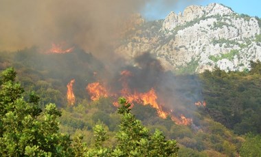 Antalya'daki orman yangınında 65 hektar kül oldu