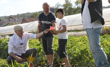 Beykoz'da alım garantili hasat zamanı