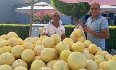 Binbir zahmetle ekiliyor: Muz kavunu tezgahlarda yerini aldı